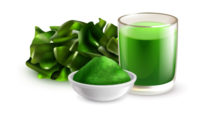 Spirulina e Clorela: Algas que Promovem a Saúde